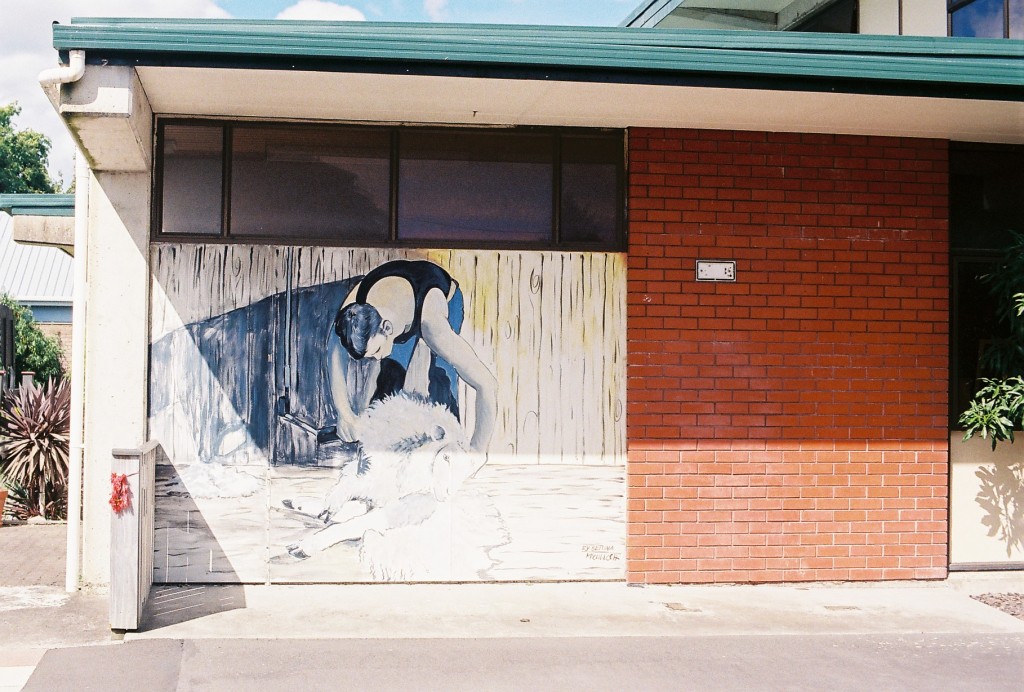 NZ mural